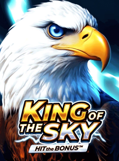11det